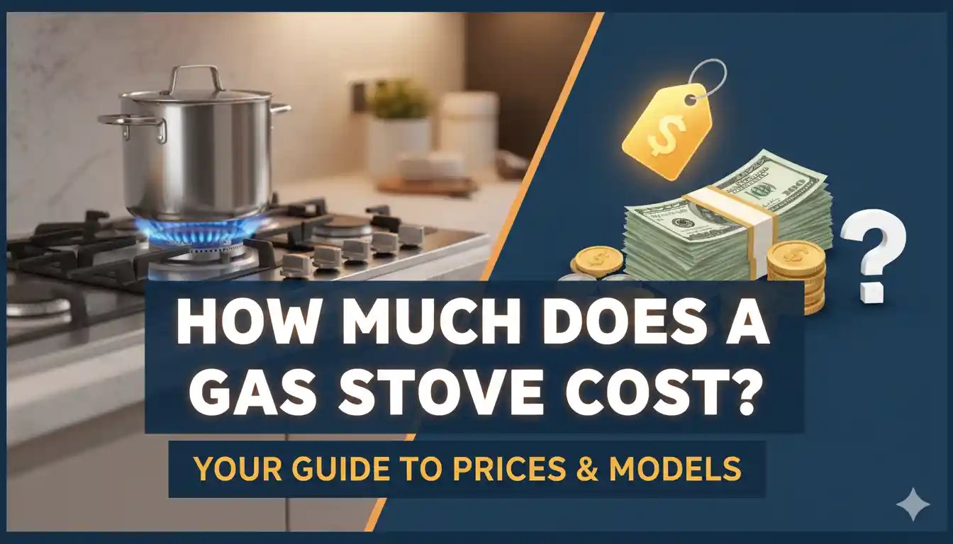 গ্যাসের চুলার দাম কত